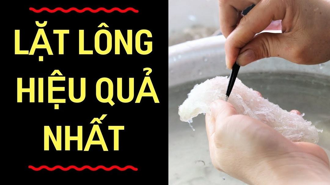 Sử dụng nhíp để nhặt lông yến sạch sẽ