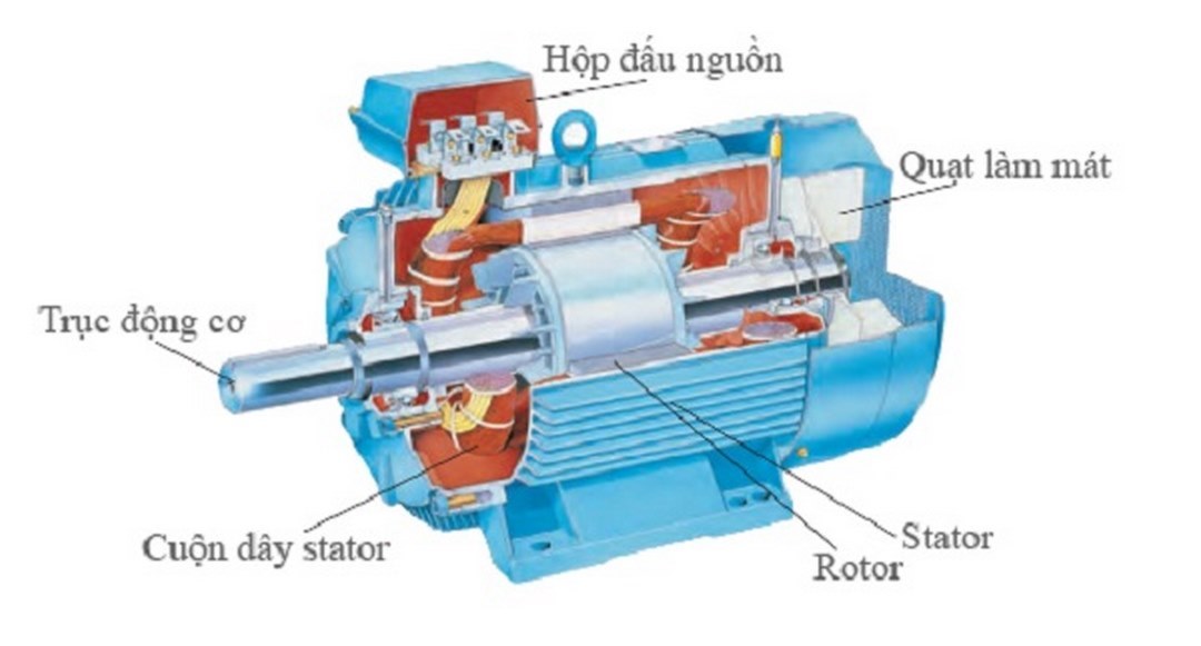 Cấu tạo của motor