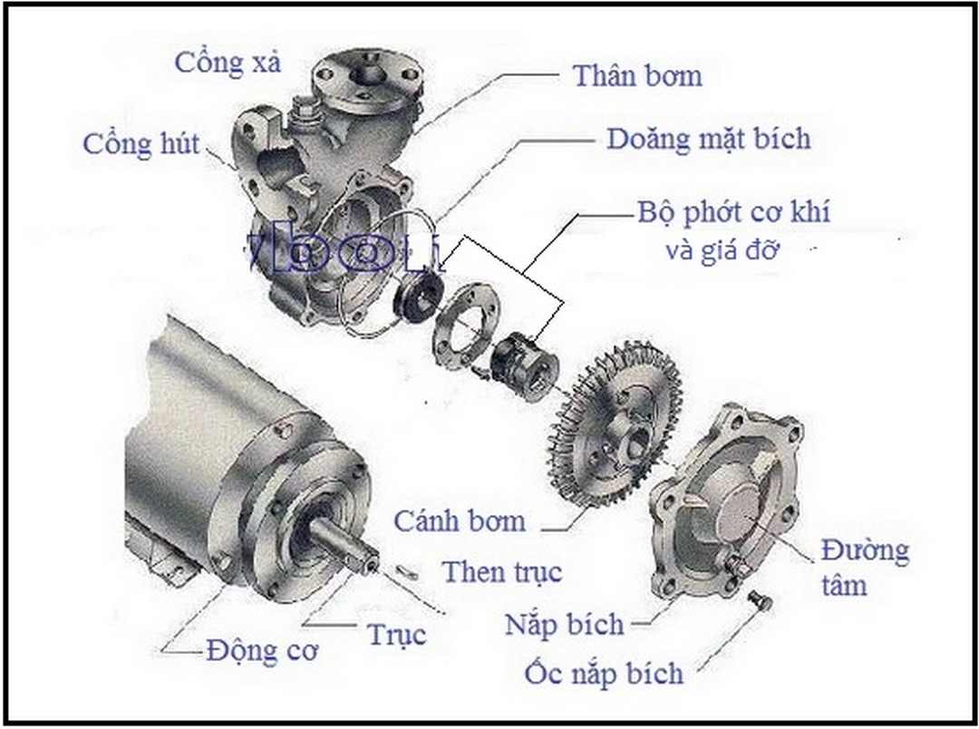 Cấu tạo máy bơm nước